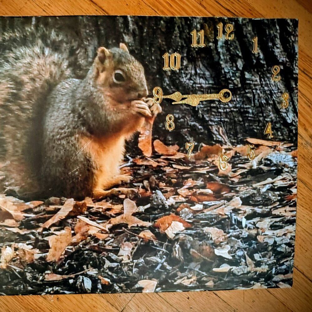 squirrel clock - Picture 3 of 3